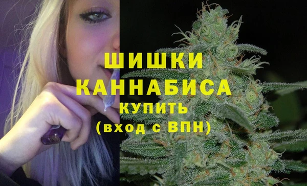 а пвп мука Инта
