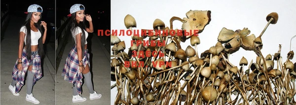 СК Иннополис
