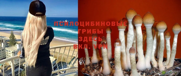 СК Иннополис