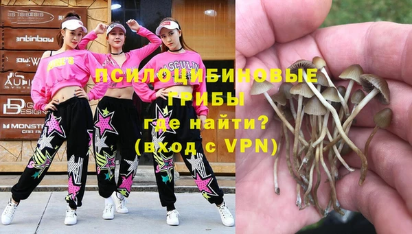 СК Иннополис